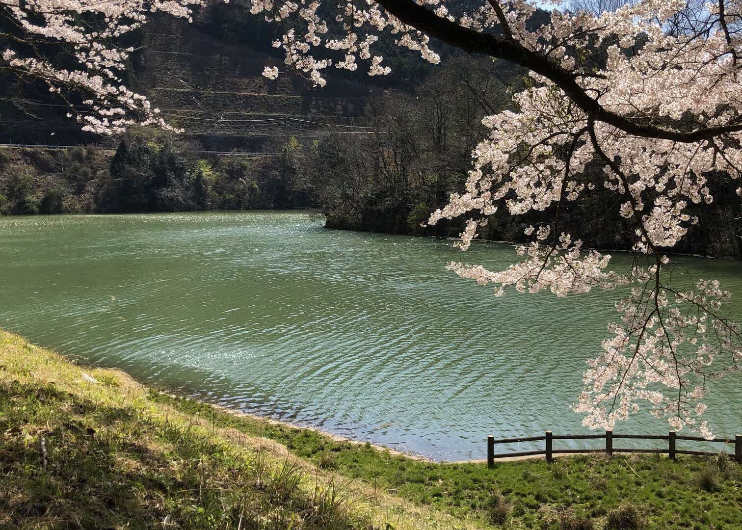 美作市 エリア 岡山県北美作エリア観光サイト 美作国