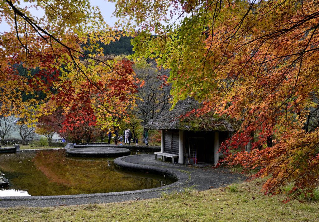 アートと紅葉めぐり | 美作国 | 岡山県美作エリアの観光・グルメ・体験・おすすめスポット情報が満載!